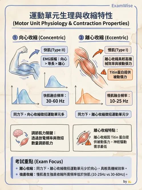物治 - 肌肉力學與感覺運動控制 - AI 圖文解析預覽