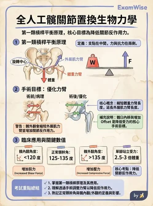物治 - 髖關節肌動學與生物力學 - AI 圖文解析預覽