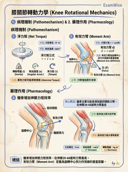 物治 - 關節運動學與生物力學計算 - AI 圖文解析預覽