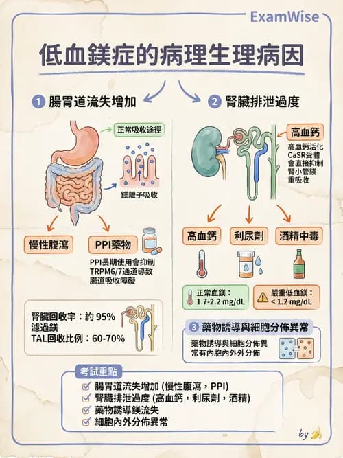 專師 - 鈣磷鎂異常 - AI 圖文解析預覽