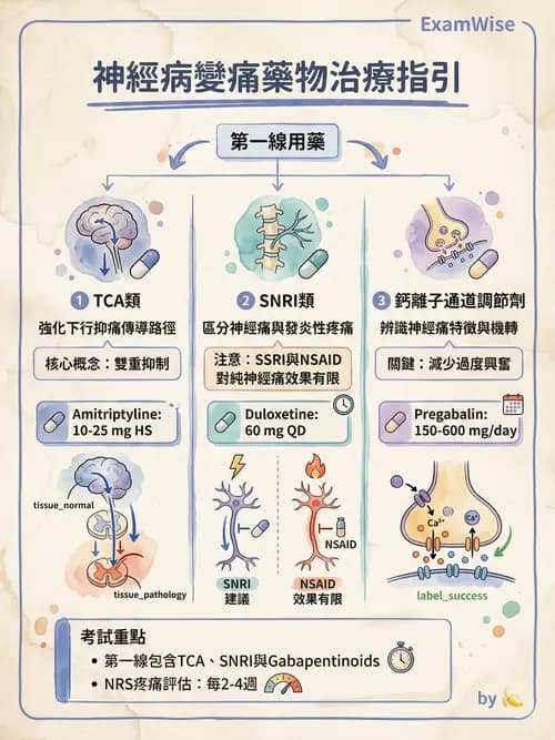 專師 - 糖尿病併發症與照護 - AI 圖文解析預覽