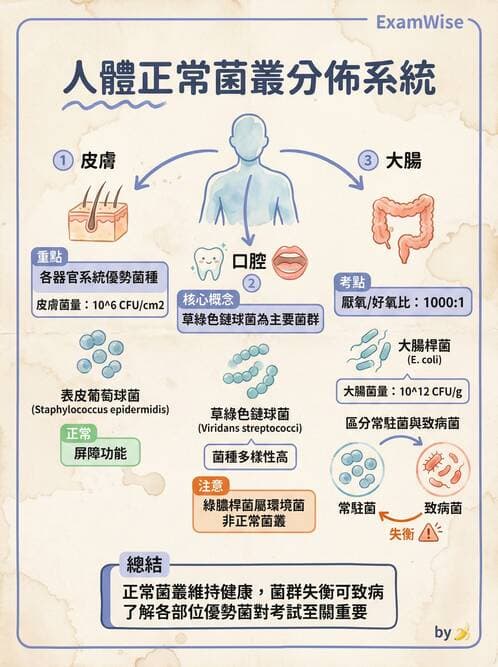 專師 - 院內感染與感控 - AI 圖文解析預覽