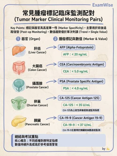 專師 - 腫瘤診斷與分期 - AI 圖文解析預覽