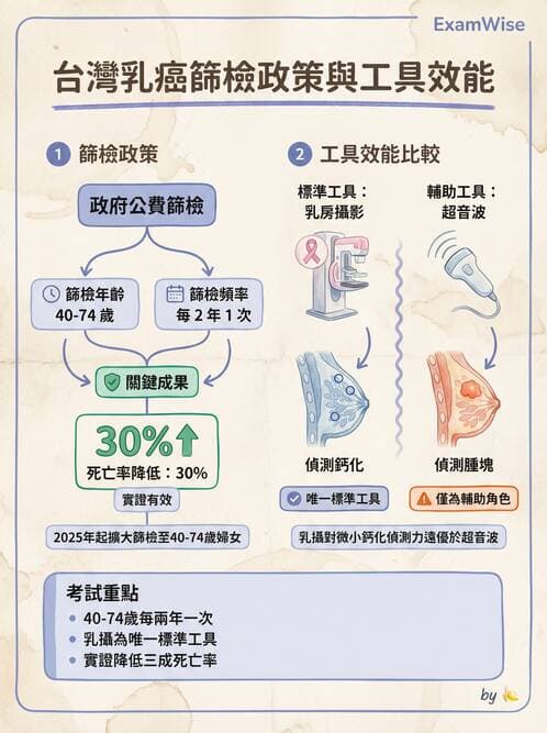 專師 - 乳癌與婦癌 - AI 圖文解析預覽