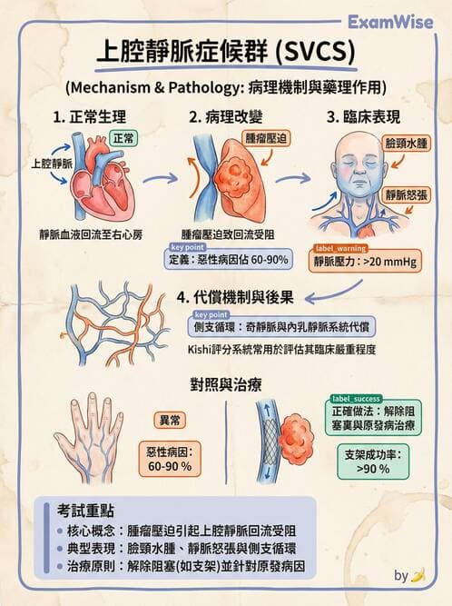 專師 - 腫瘤急症 - AI 圖文解析預覽