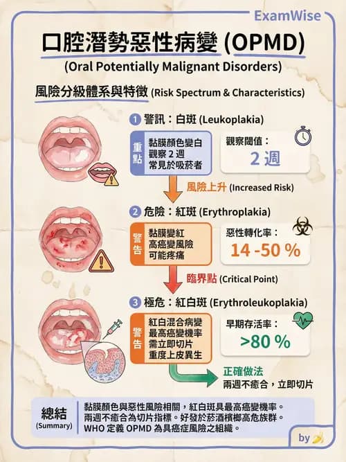 專師 - 肺癌與消化道癌 - AI 圖文解析預覽