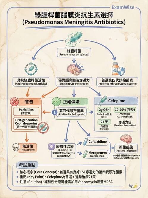 專師 - 抗生素藥理 - AI 圖文解析預覽