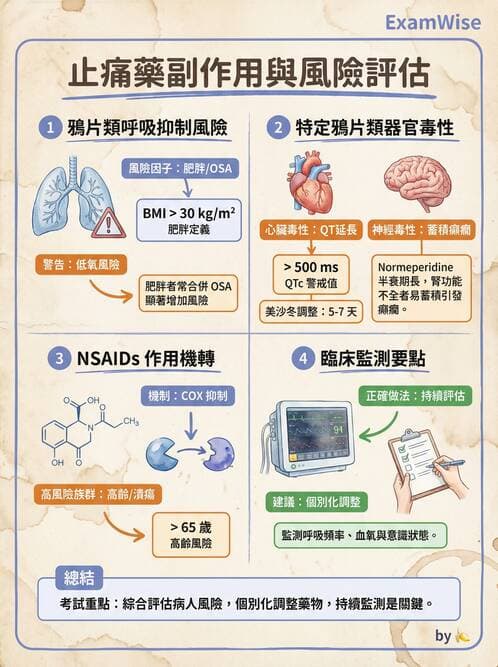 專師 - 術後疼痛控制 - AI 圖文解析預覽