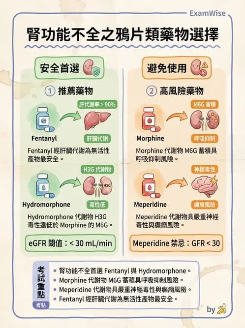 專師 - 術後疼痛控制 - AI 圖文解析預覽