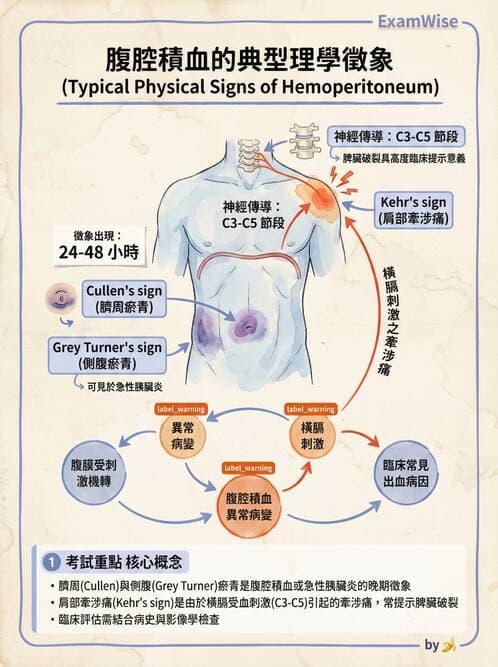 專師 - 疝氣與急腹症 - AI 圖文解析預覽
