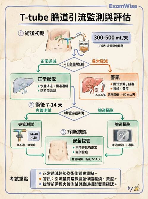 專師 - 肝膽胰脾外科 - AI 圖文解析預覽