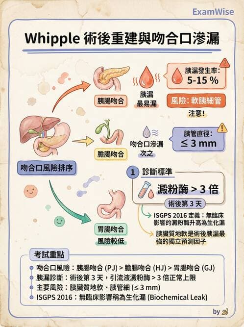 專師 - 肝膽胰脾外科 - AI 圖文解析預覽