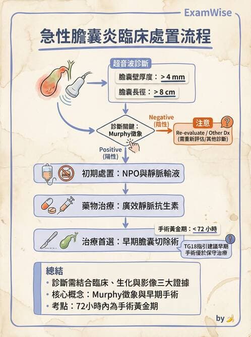 專師 - 膽道與胰臟 - AI 圖文解析預覽