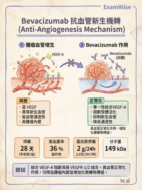 專師 - 肺癌與消化道癌 - AI 圖文解析預覽
