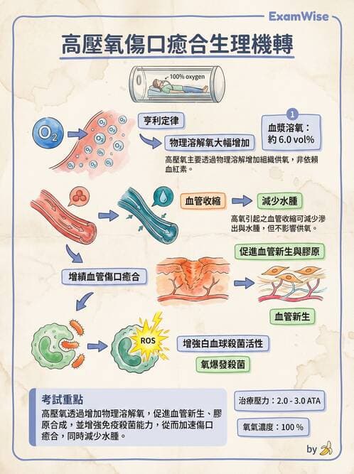 專師 - 傷口敷料與照護 - AI 圖文解析預覽