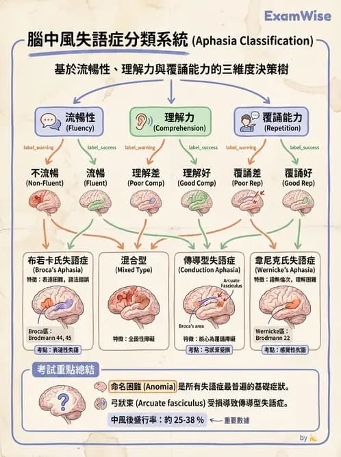 物治 - 腦血管疾病與腦外傷 - AI 圖文解析預覽