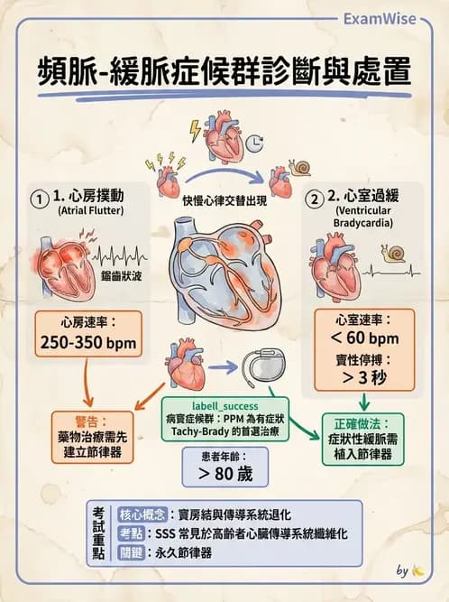 物治 - 心肺系統疾病 - AI 圖文解析預覽
