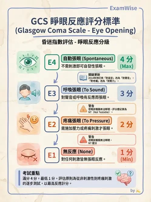 物治 - 腦血管疾病與腦外傷 - AI 圖文解析預覽