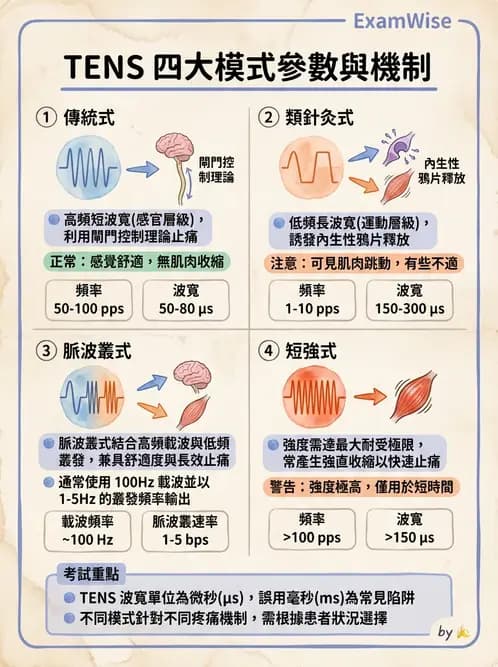 物治 - 經皮電刺激與電療基礎 - AI 圖文解析預覽