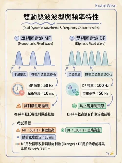 物治 - 經皮電刺激與電療基礎 - AI 圖文解析預覽