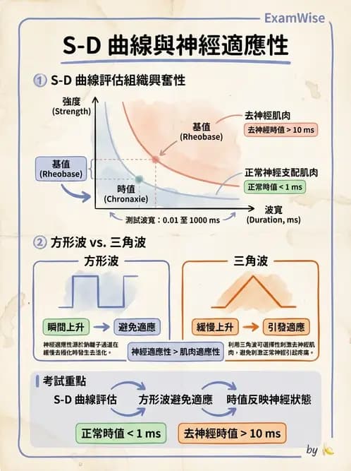 物治 - 電生理診斷 - AI 圖文解析預覽