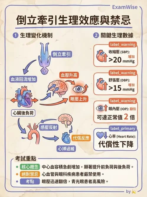 物治 - 力學因子 - AI 圖文解析預覽