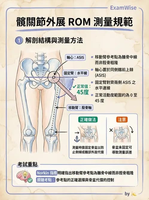 物治 - 下肢與脊椎關節活動度 - AI 圖文解析預覽