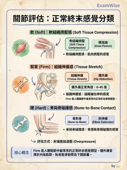 物治 - ROM通則與關節運動 - AI 圖文解析預覽
