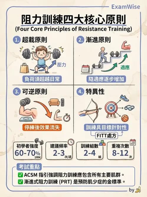 物治 - 漸進式阻力訓練 - AI 圖文解析預覽