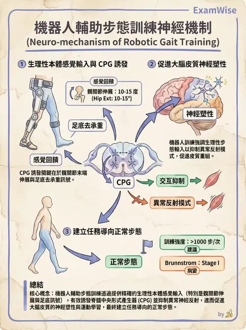 物治 - 腦中風步態分析與行走訓練 - AI 圖文解析預覽