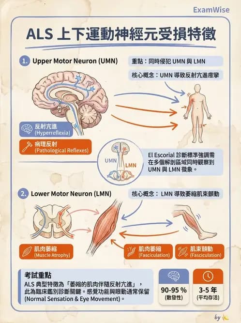 物治 - 運動神經元疾病與其他中樞疾病 - AI 圖文解析預覽