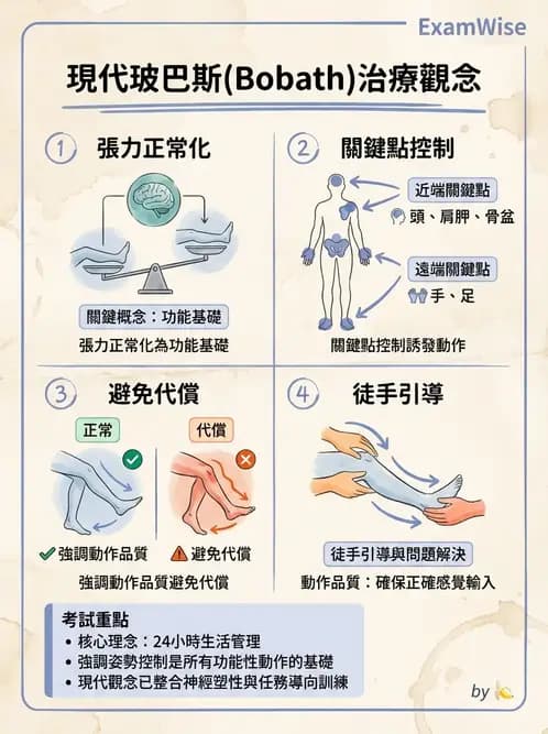 物治 - 神經治療學派技術 - AI 圖文解析預覽