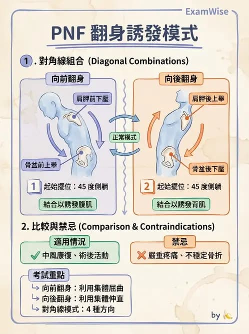 物治 - 腦中風治療手法應用 - AI 圖文解析預覽