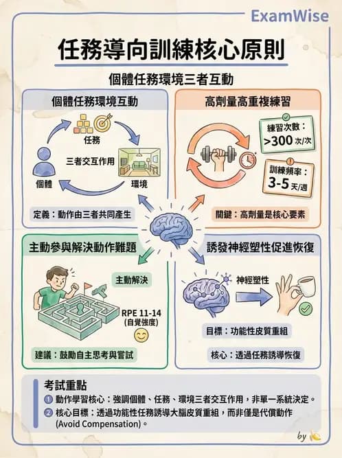 物治 - 訓練原則與科技輔助 - AI 圖文解析預覽