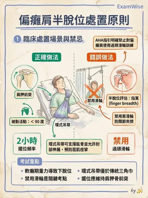 物治 - 腦中風上肢肩部與體適能 - AI 圖文解析預覽