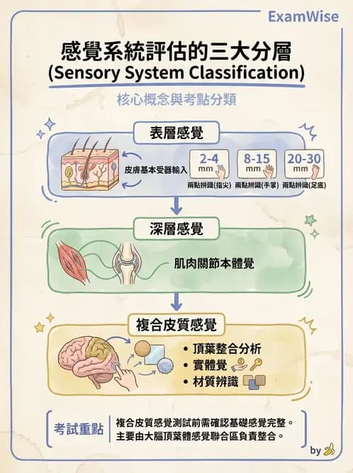 物治 - 腦中風感覺知覺與認知 - AI 圖文解析預覽