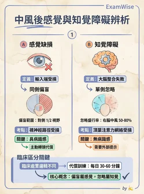 物治 - 腦中風感覺知覺與認知 - AI 圖文解析預覽