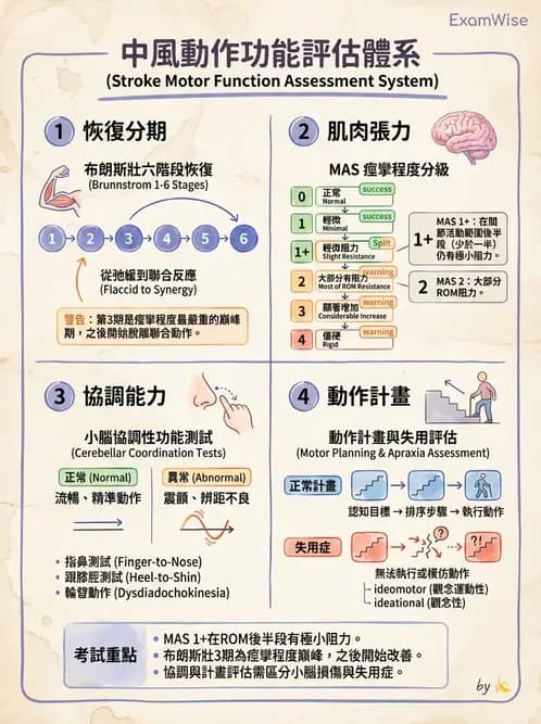 物治 - 腦中風動作評估與分期 - AI 圖文解析預覽