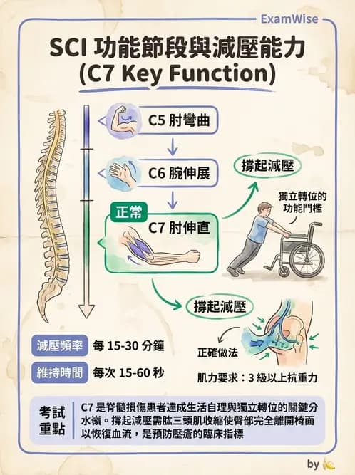 物治 - SCI功能預後與復健訓練 - AI 圖文解析預覽