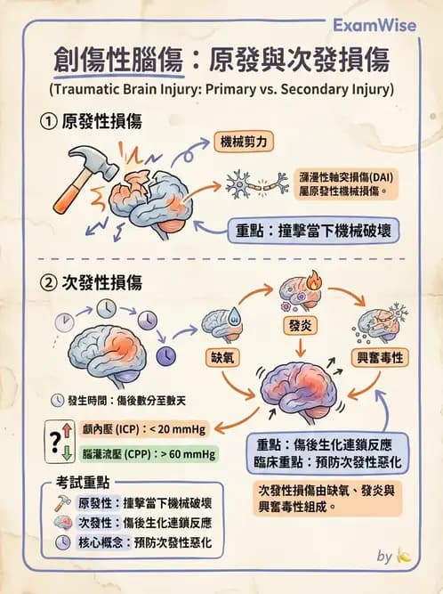 物治 - TBI病理評估與GCS - AI 圖文解析預覽