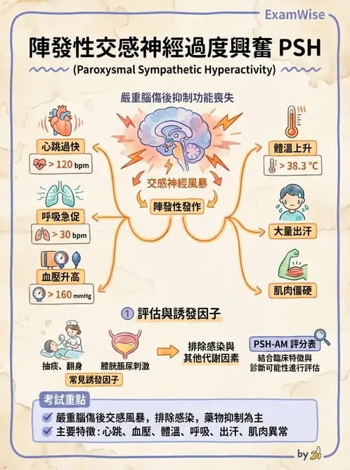 物治 - TBI病理評估與GCS - AI 圖文解析預覽
