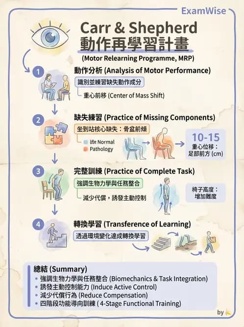 物治 - 巴金森氏病物理治療 - AI 圖文解析預覽