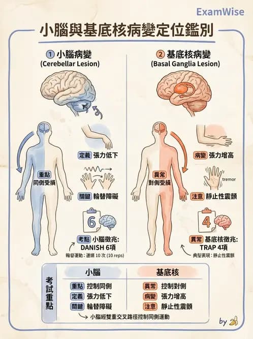 物治 - 小腦疾病物理治療 - AI 圖文解析預覽