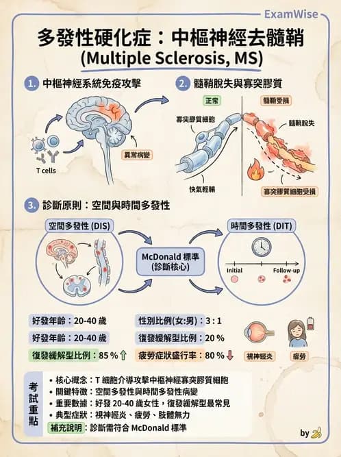 物治 - 多發性硬化症物理治療 - AI 圖文解析預覽