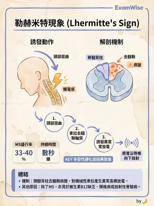 物治 - 多發性硬化症物理治療 - AI 圖文解析預覽