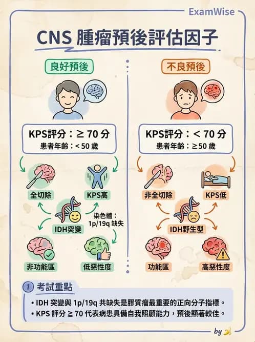 物治 - 運動神經元疾病與其他中樞疾病 - AI 圖文解析預覽