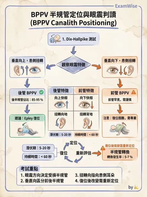物治 - 前庭系統與前庭復健 - AI 圖文解析預覽