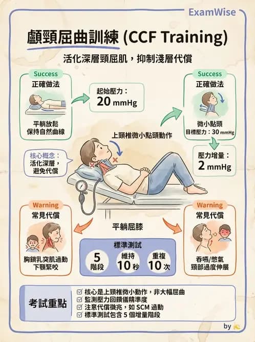 物治 - 頸椎評估與病理 - AI 圖文解析預覽