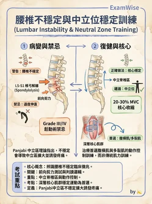 物治 - 腰椎椎間盤與脊椎狹窄 - AI 圖文解析預覽