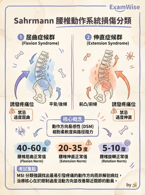 物治 - 腰椎穩定訓練與治療原則 - AI 圖文解析預覽